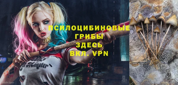 гидропоника Балахна