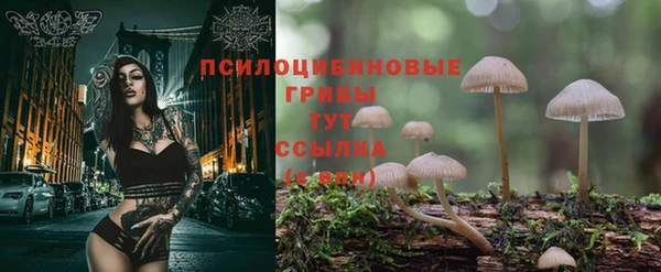 ешки Балабаново